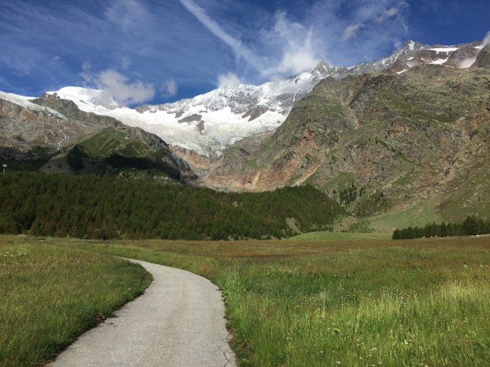 SaaS Business Solutions