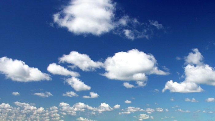 Cloud Security Management