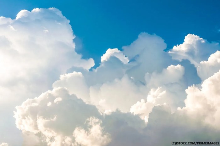 Cloud Backup Solutions