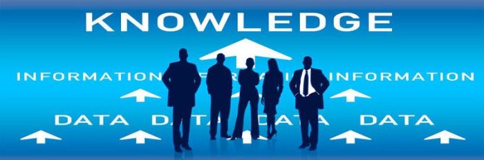 SaaS Business Solutions